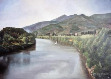 Il Gabbiano,Collezione privata,Quadro olio su tela 50x70