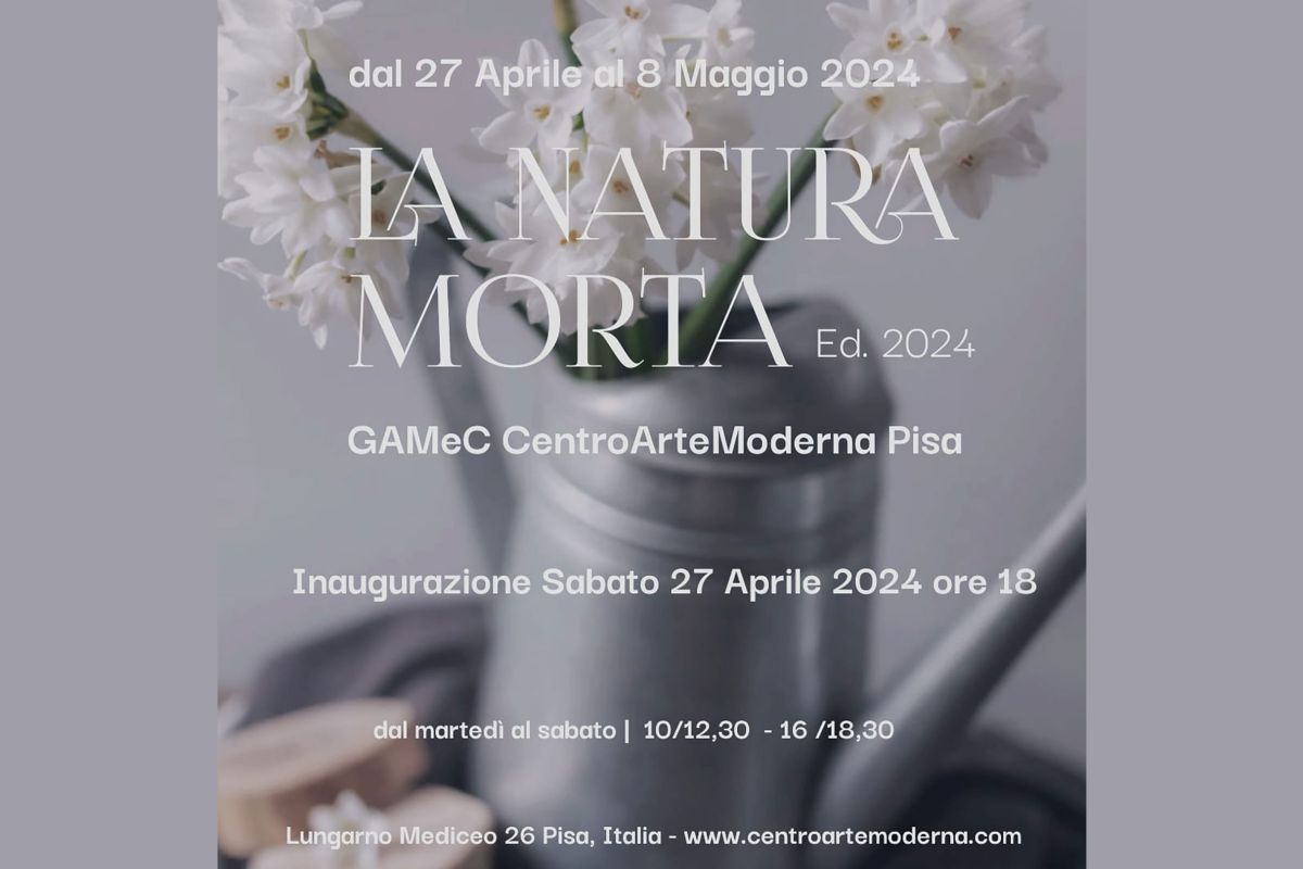 natura morta2024