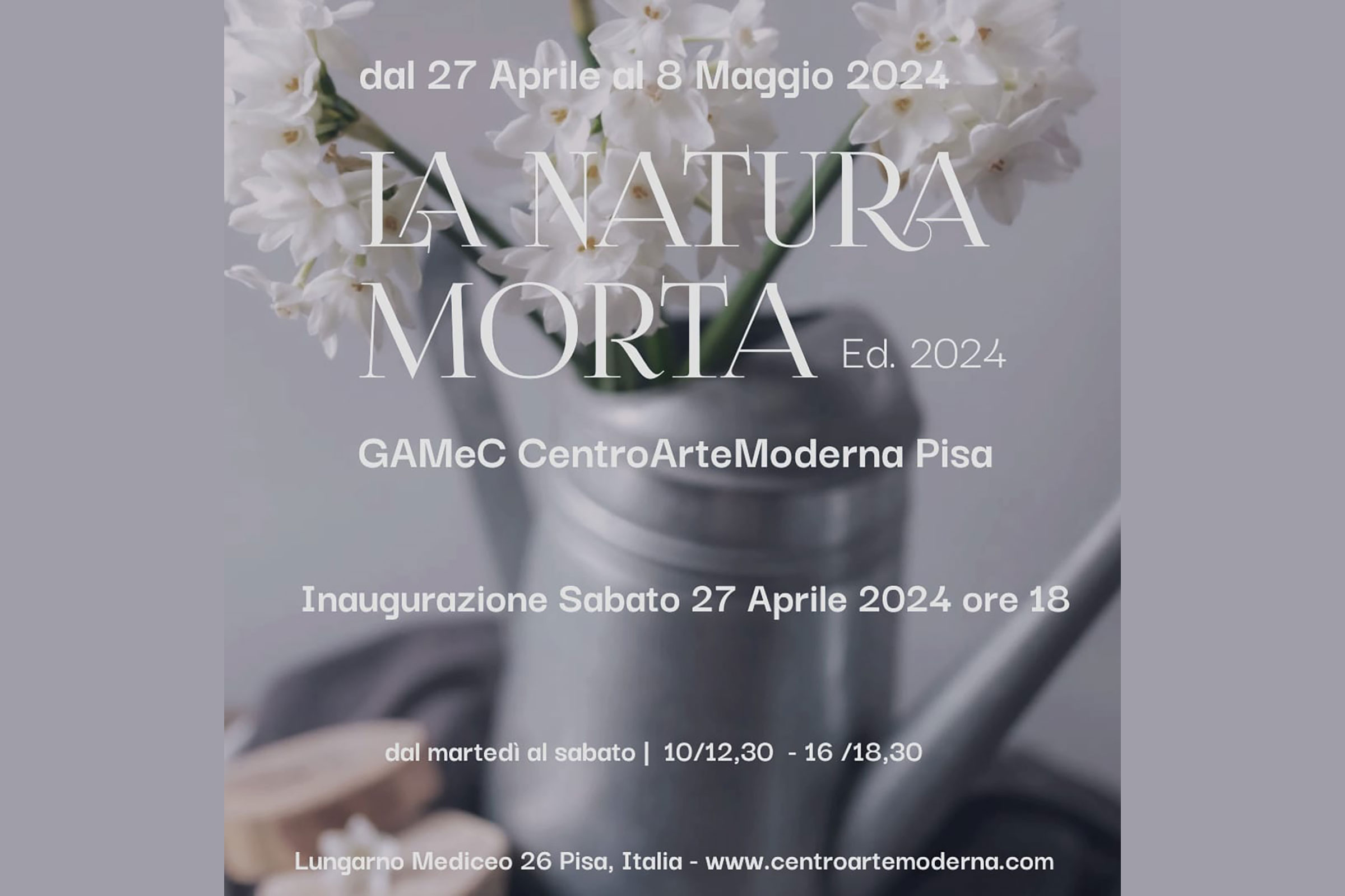 natura morta2024